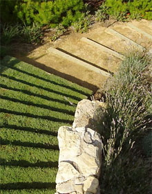 Lãng Mạn Đường Dạo Trong Vườn 